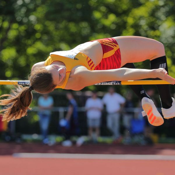 BWLA | Bildung kompakt