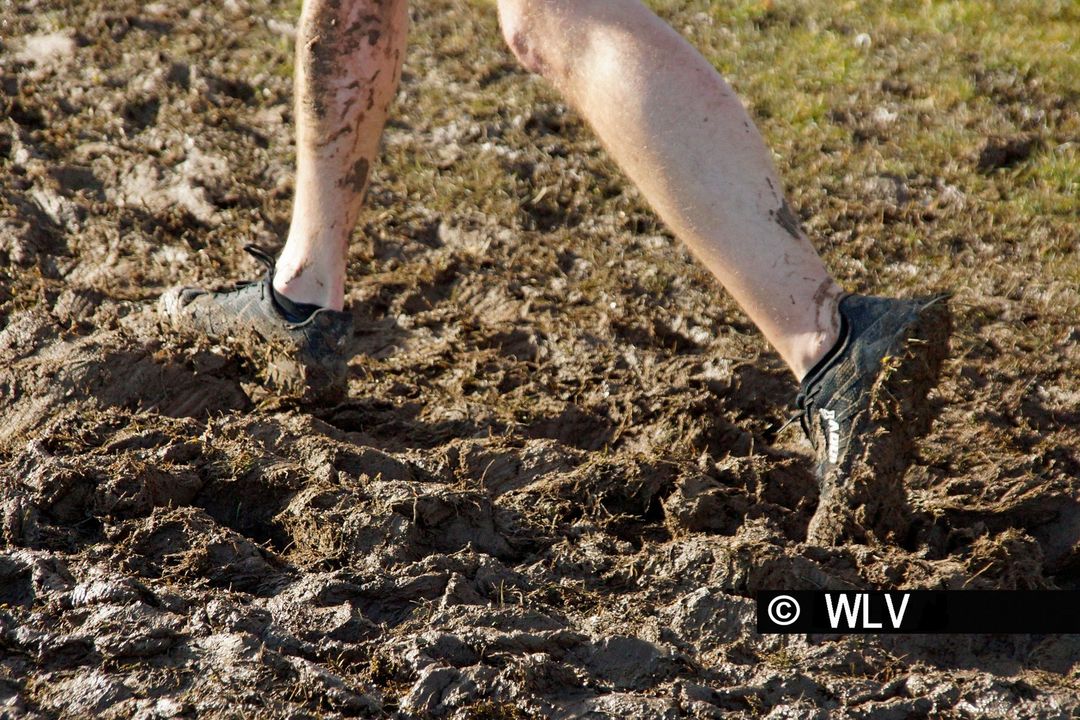 Baden-Württembergische Crosslauf-Meisterschaften am 15. Februar 2020 in Weinstadt