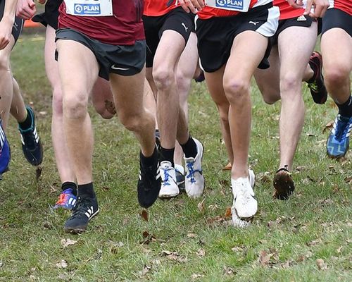 Auftakt zur Cross-Saison in Pforzheim