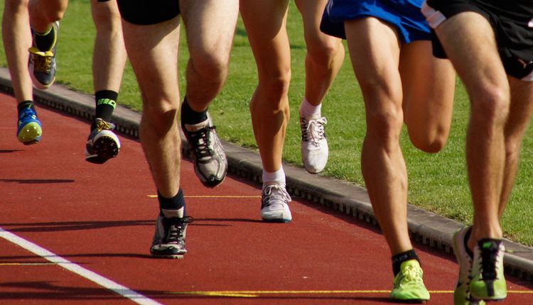 Jahresplan Lauf erschienen