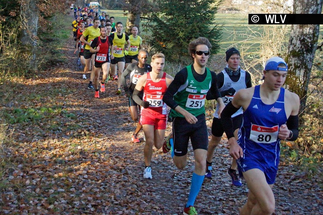 Baden-Württ. Waldlaufmeisterschaften am 17.11.2018 in Neuhengstett