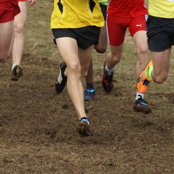 Baden-Württembergische Crosslaufmeisterschaften am 15. Februar in Weinstadt