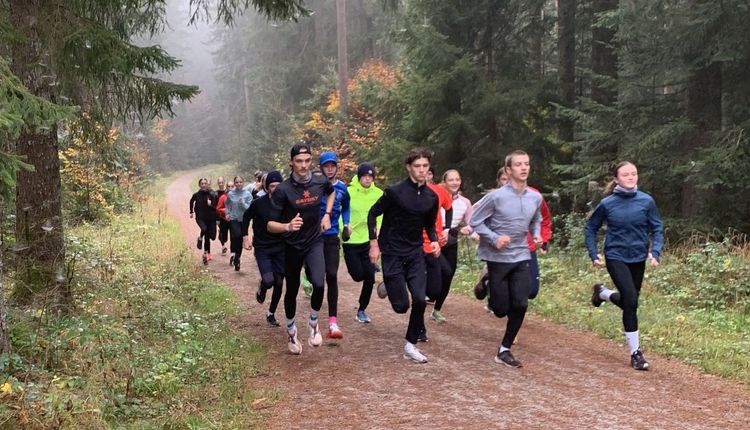 Trainingslehrgang in Freudenstadt