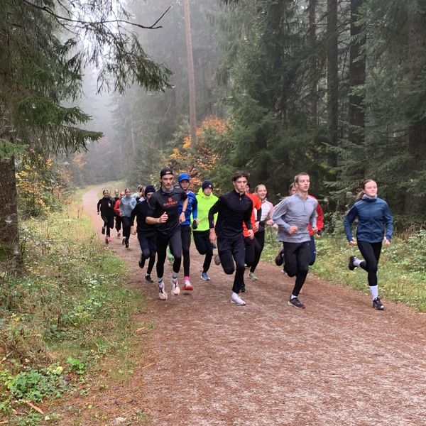Trainingslehrgang in Freudenstadt