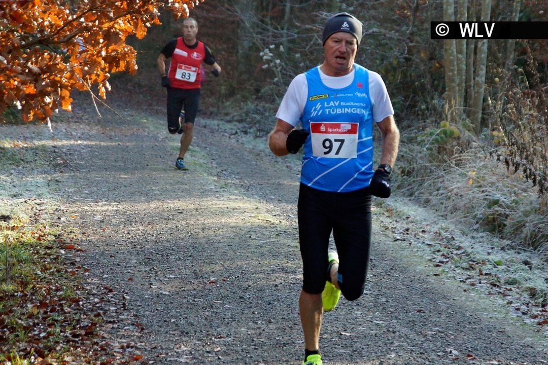 Baden-Württ. Waldlaufmeisterschaften am 17.11.2018 in Neuhengstett