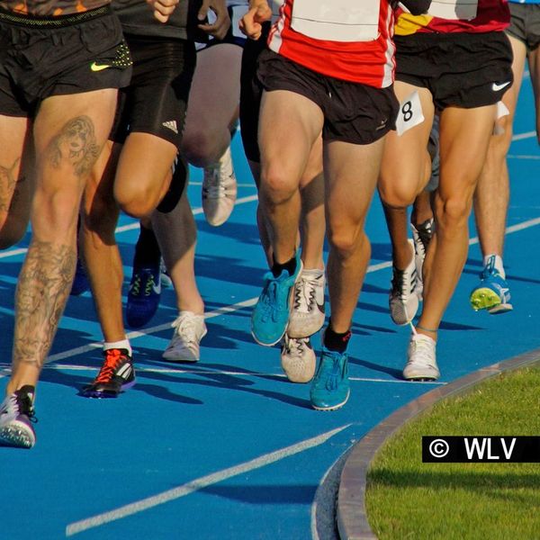 Ausschreibung SLV-Meisterschaften Aktive/U18 in Walldorf veröffentlicht