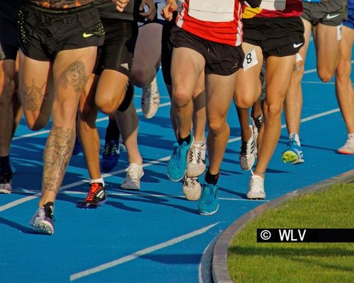 Schutzkonzept Leichtathletik-Wettkämpfe: Update verfügbar