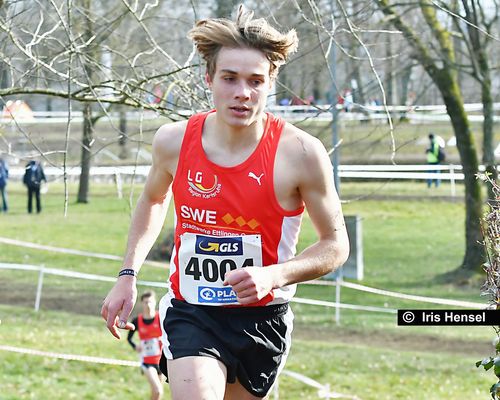 Deutsche Crosslauf-Meisterschaften am 7. März 2020 in Sindelfingen