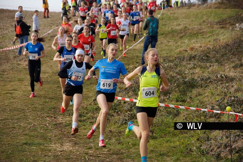 crosslauf-landesmeisterschaften-in-weinstadt-leichtathletik-baden