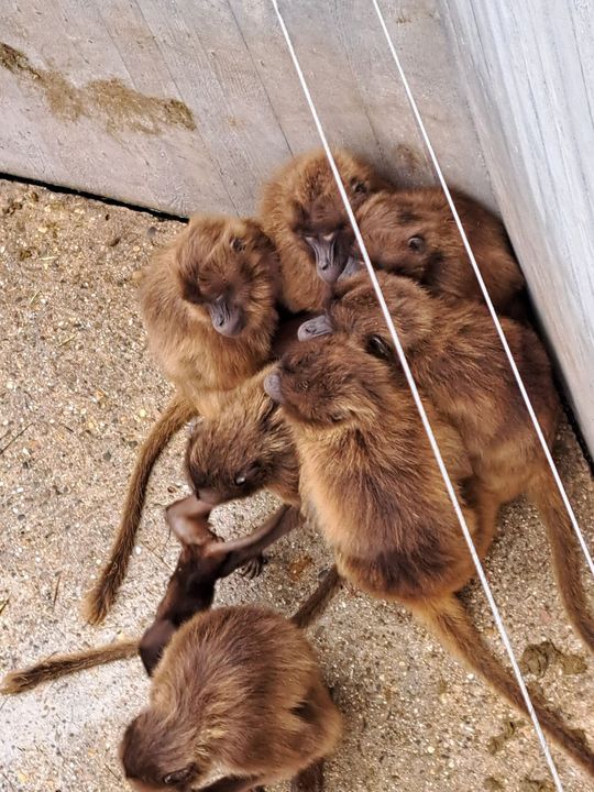 Tolle Team-Tage für die VR-Talentiade-Gewinner