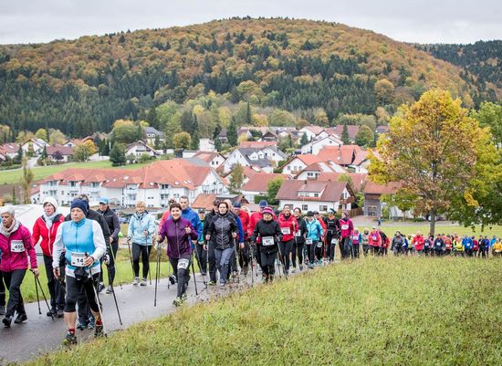 BWLA | Bildung kompakt