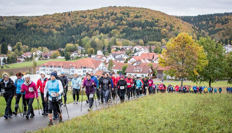 BWLA | Bildung kompakt
