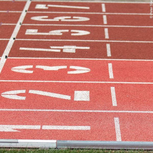 WLSB Online-Seminar: „Kunststoffsportflächen – Neubau, Sanierung und Pflege" am 4. Juni